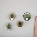 Wall Planter Stand - myhomestore.com.pk