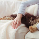 Cream Sherpa Blanket /Throw - myhomestore.com.pk