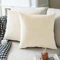 Velvet Cushion Cover- 1 Cushion Cover - myhomestore.com.pk