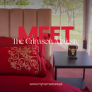 Modern Style Luxury Embroidered Velvet Duvet (Red)