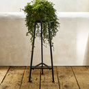 Three Leg Iron Plant Stand - myhomestore.com.pk
