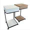 Multi Purpose Movable Makeup Table