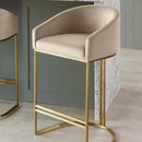 Dakota Champagne Velvet & Metal Barstool - myhomestore.com.pk