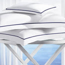 Palmer Bedding Collection - myhomestore.com.pk