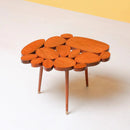 Placid Oval Table (Shisham) - myhomestore.com.pk