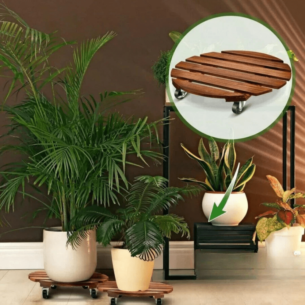 Plant Caddy With Wheels - myhomestore.com.pk
