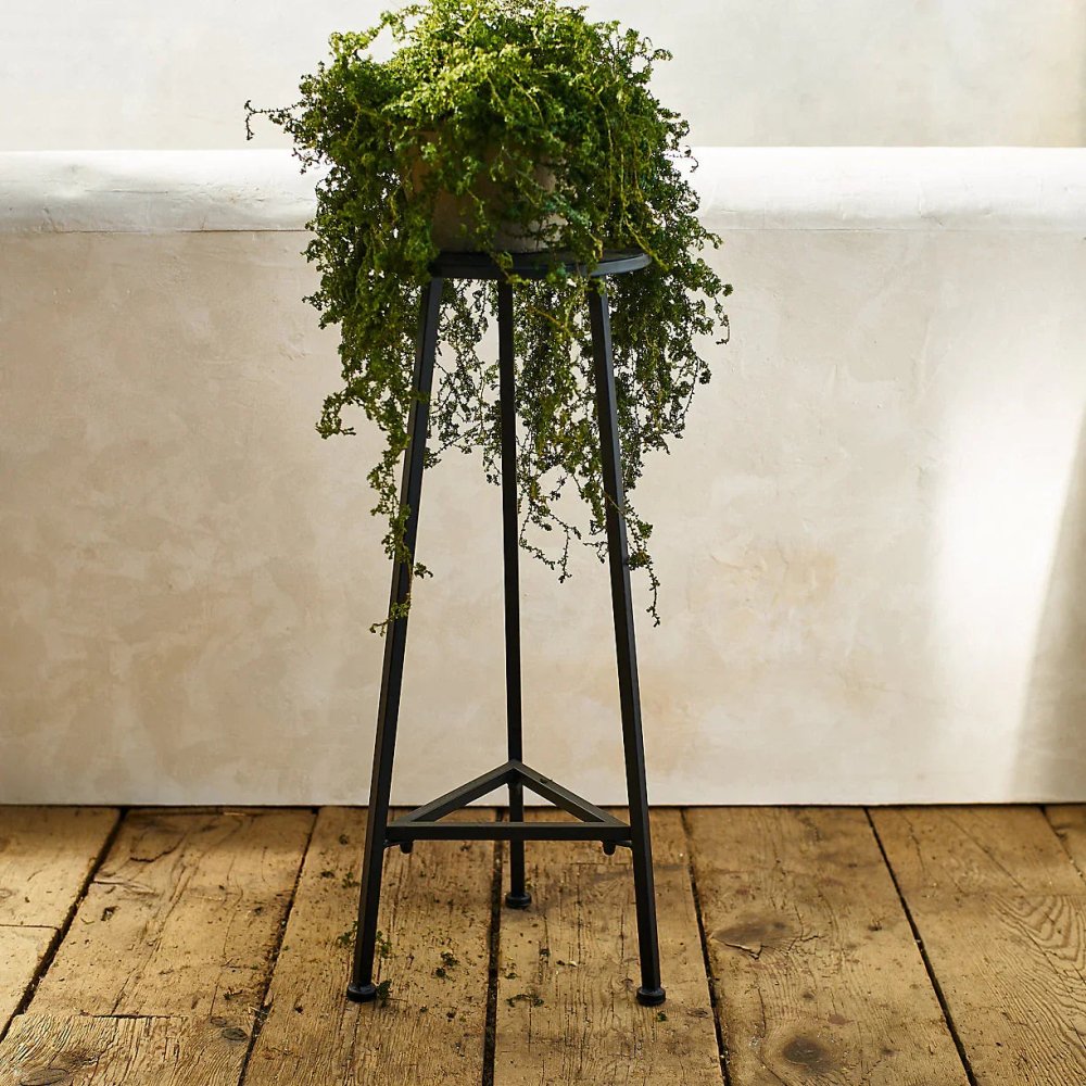Three Leg Iron Plant Stand - myhomestore.com.pk