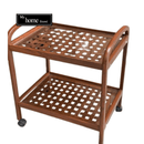 Tia Mesh 2 Tier Tea Trolley - myhomestore.com.pk