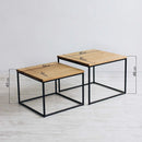 Set of 2 Smoked Side Table with Metal stand - myhomestore.com.pk