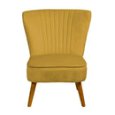Cocktail Velvet Chair - myhomestore.com.pk